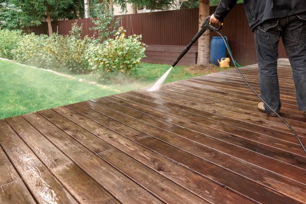 Best Gutter Cleaning  in Brandon, FL