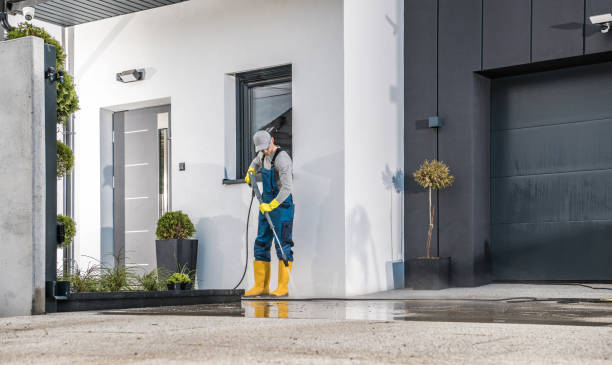 Best Building Exterior Washing  in Brandon, FL